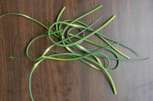 Garlic Scapes