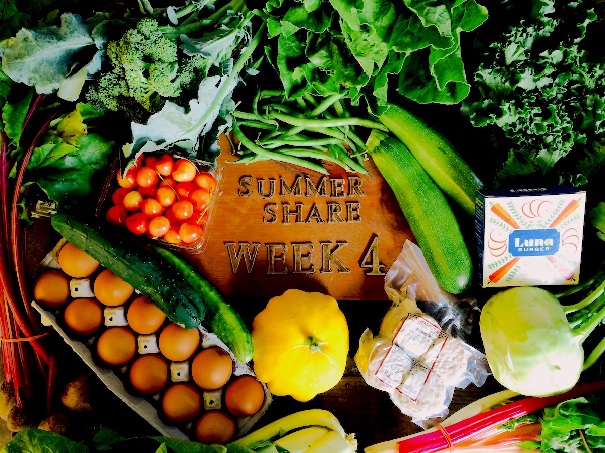 FFM_summer_share_2015_week_4