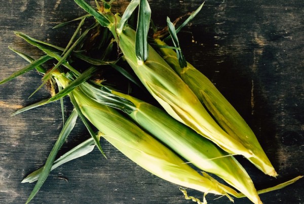 Sweet Corn