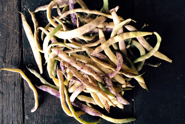 Dragon Tongue Beans