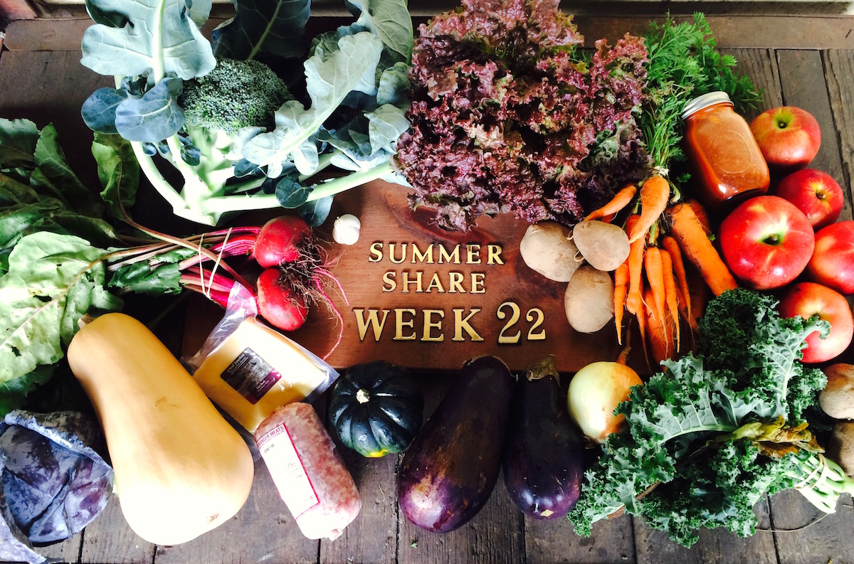 FFM_summer_share_2015_week_22_featured
