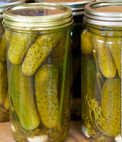 dill-pickles-1