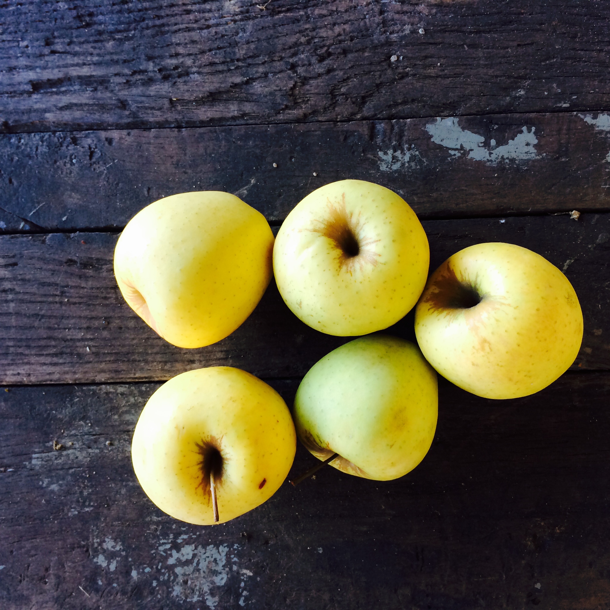 Goldrush apples Fresh Fork Market