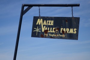 maize_valley_logo