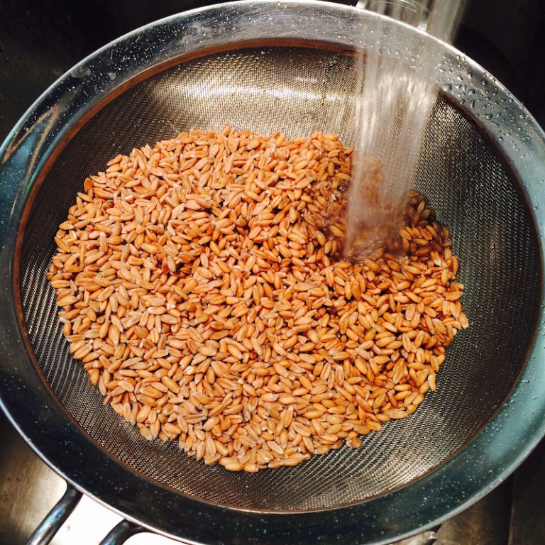 Summer Pesto Spelt Berry Salad Fresh Fork Market