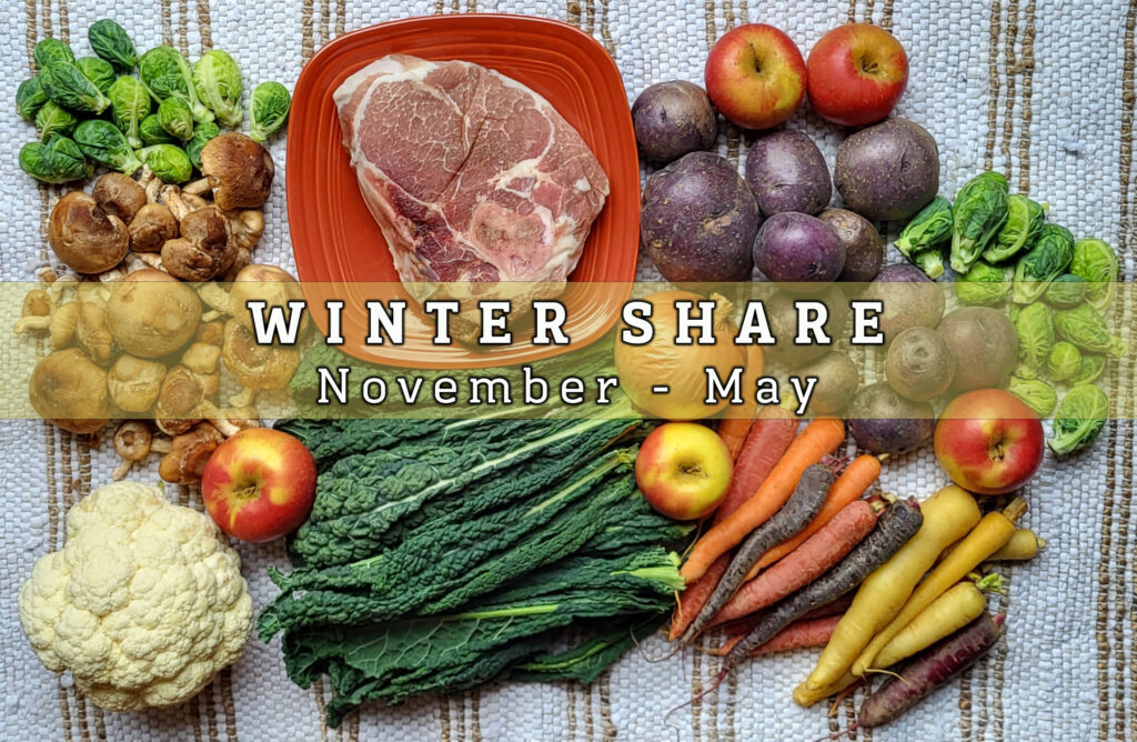 winter-share-banner copy